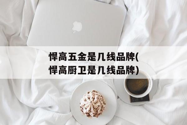 悍高五金是几线品牌(悍高厨卫是几线品牌)