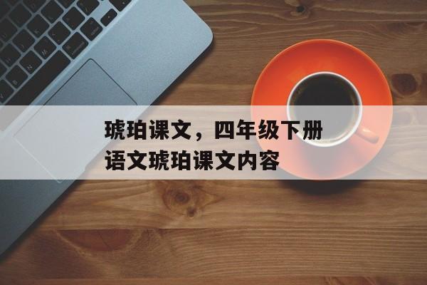 琥珀课文，四年级下册语文琥珀课文内容