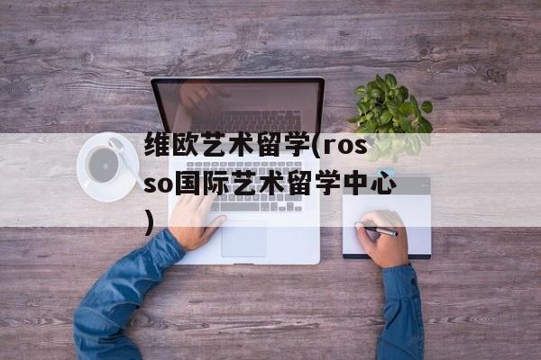 维欧艺术留学(rosso国际艺术留学中心)