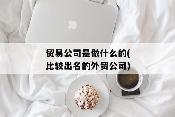 贸易公司是做什么的(比较出名的外贸公司)