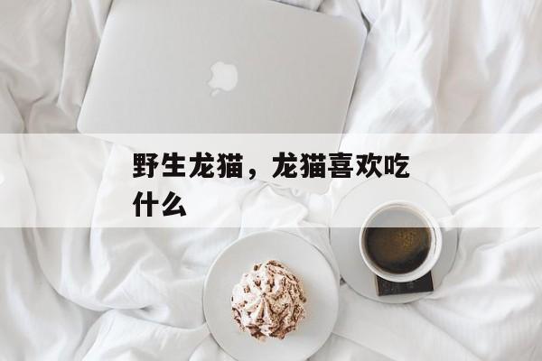 野生龙猫，龙猫喜欢吃什么
