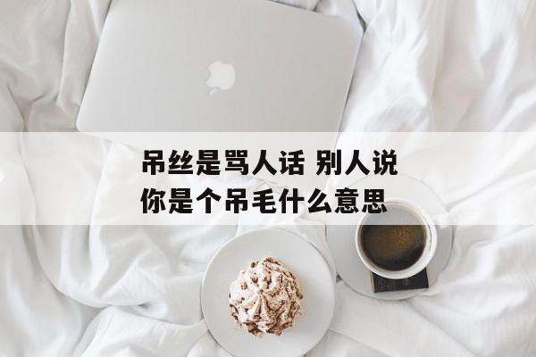 吊丝是骂人话 别人说你是个吊毛什么意思