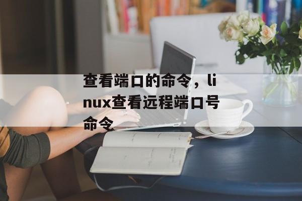 查看端口的命令，linux查看远程端口号命令