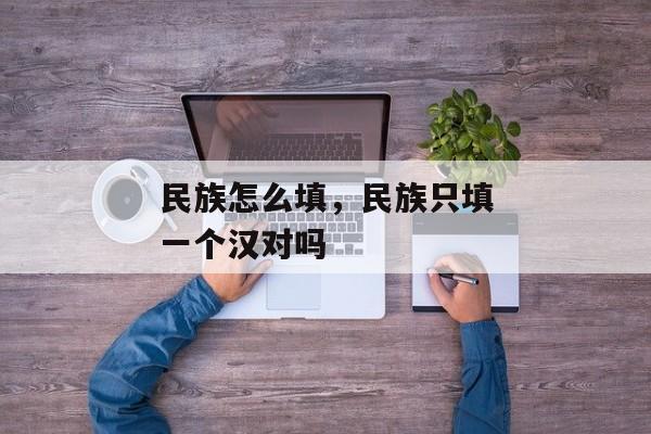 民族怎么填，民族只填一个汉对吗