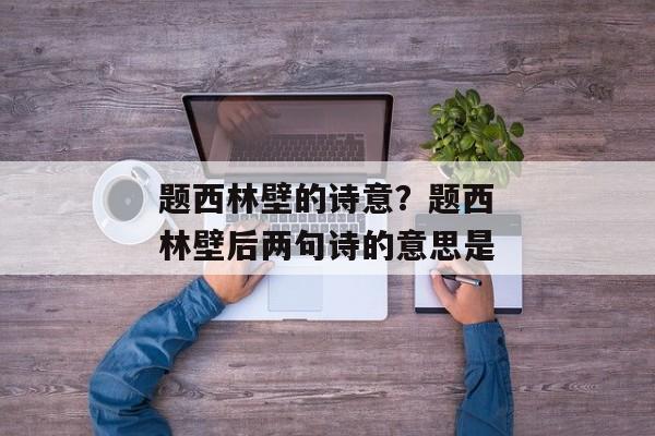 题西林壁的诗意？题西林壁后两句诗的意思是