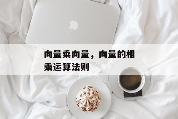 向量乘向量，向量的相乘运算法则