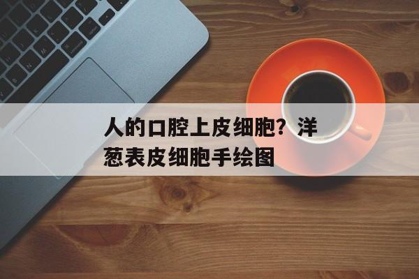 人的口腔上皮细胞？洋葱表皮细胞手绘图