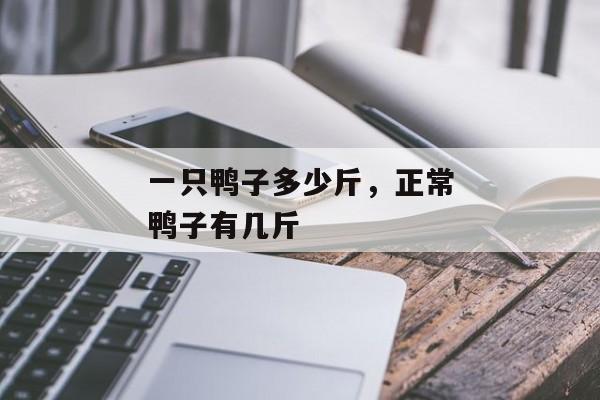 一只鸭子多少斤，正常鸭子有几斤