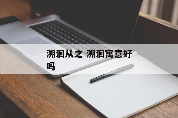 溯洄从之 溯洄寓意好吗