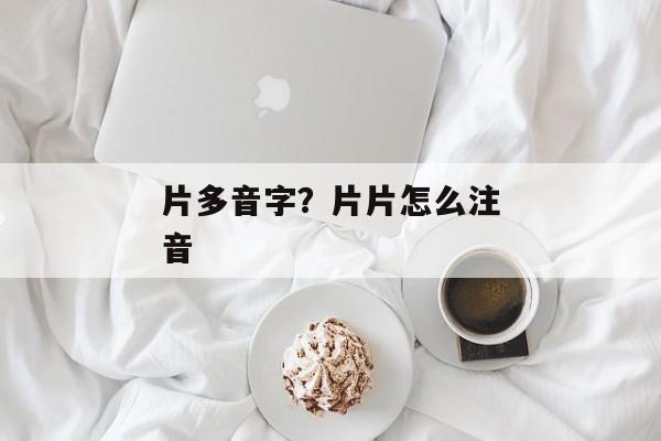 片多音字？片片怎么注音