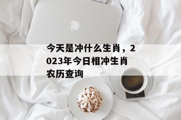 今天是冲什么生肖，2023年今日相冲生肖农历查询