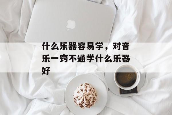 什么乐器容易学，对音乐一窍不通学什么乐器好
