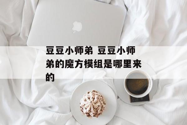 豆豆小师弟 豆豆小师弟的魔方模组是哪里来的
