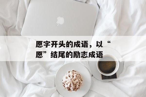 愿字开头的成语，以“愿”结尾的励志成语