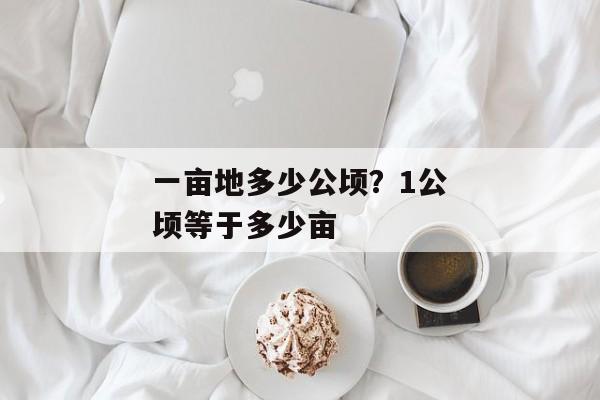 一亩地多少公顷？1公顷等于多少亩