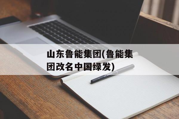 山东鲁能集团(鲁能集团改名中国绿发)