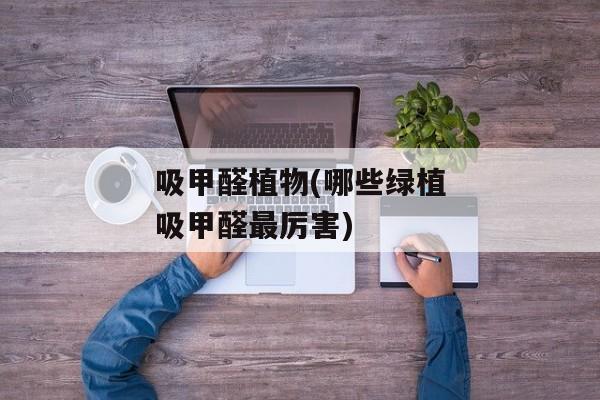 吸甲醛植物(哪些绿植吸甲醛最厉害)